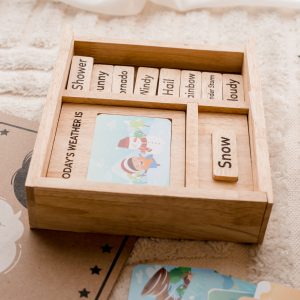 Weather Play Set