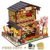 Dollhouse Miniature with Furniture Kit Plus Dust Proof and Music Movement – Asia (1:24 Scale Creative Room Idea)