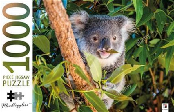 Koala Australia – Mindbogglers 1000 Piece Puzzle
