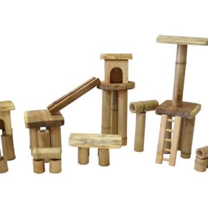 Bamboo Building set with house