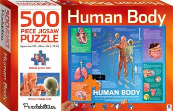 Human Body 500 Piece Jigsaw Puzzle