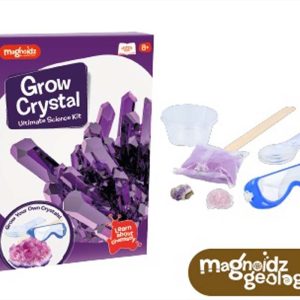 Magnoidz Crystal Growing Kit