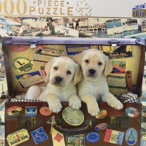 Puppies In Suitcase – 1000 Piece Puzzle